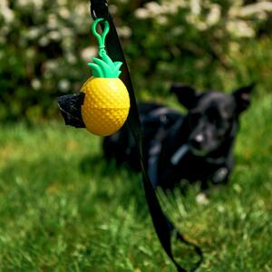 Sinsay - Dávkovač na vrecúška na psie exkrementy s vrecúškami - Žltá