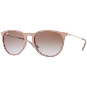 Ray-Ban Erika Classic RB4171 600068 - ONE SIZE (54)