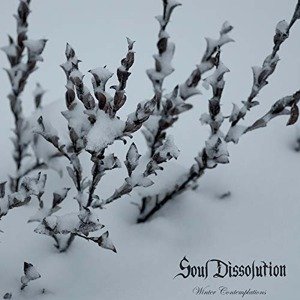 SOUL DISSOLUTION - WINTER CONTEMPLATIONS, Vinyl