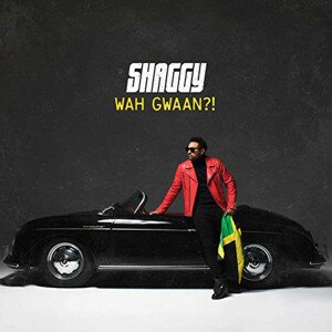 Shaggy, Wah Gwaan?!, CD